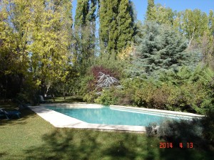 The poolside in the wonderful garden.